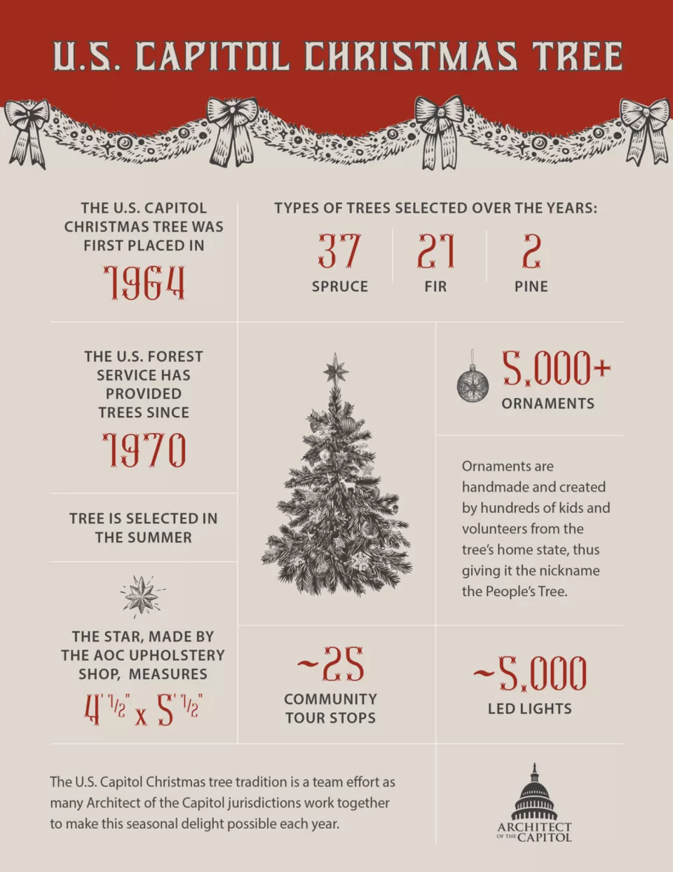 Graphic with facts about the tree.