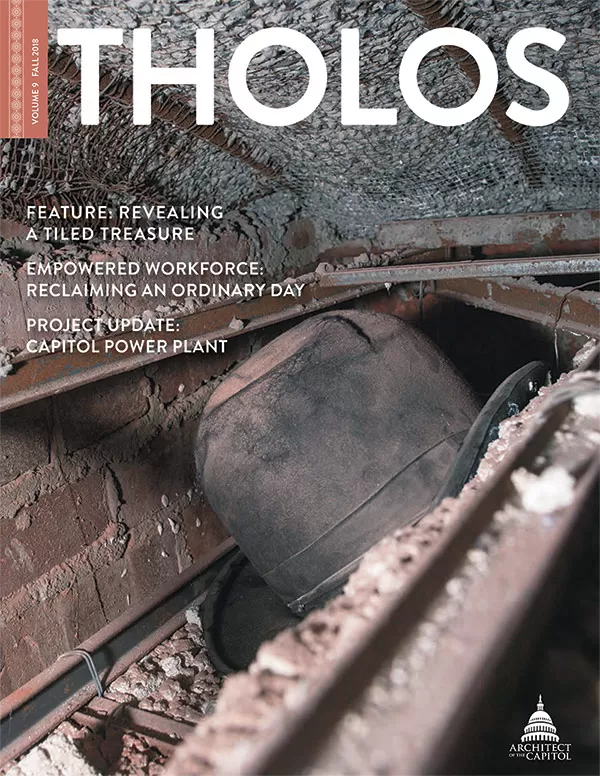 Tholos Magazine cover, Volume 9 Fall 2018.