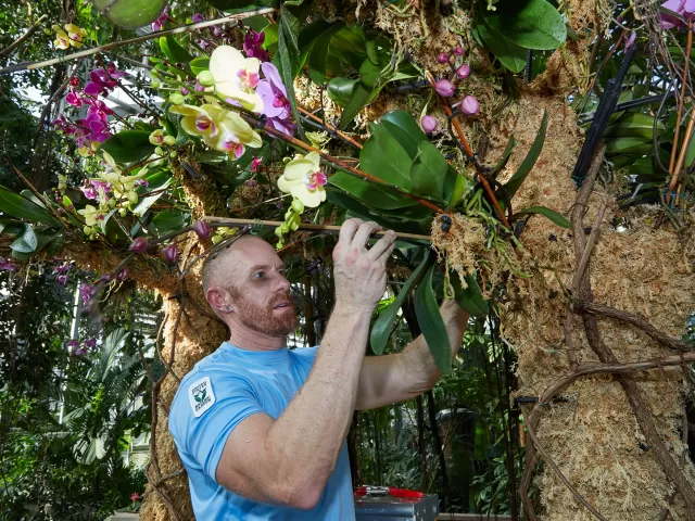 Person working with plants.