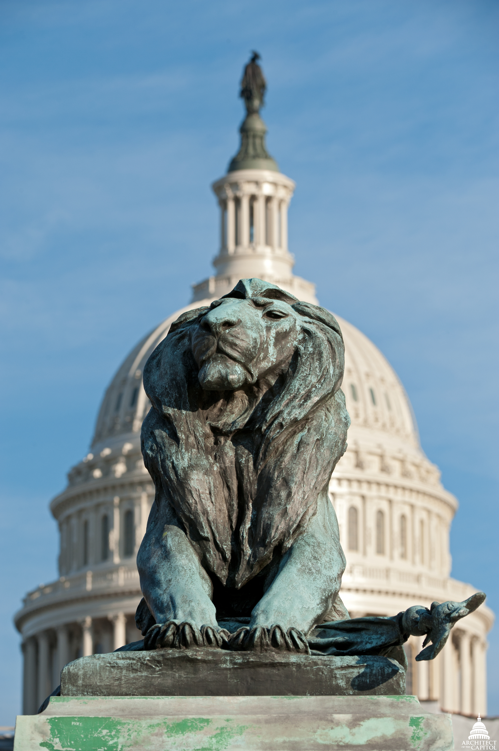 The Lion – A Mane Attraction | Architect of the Capitol