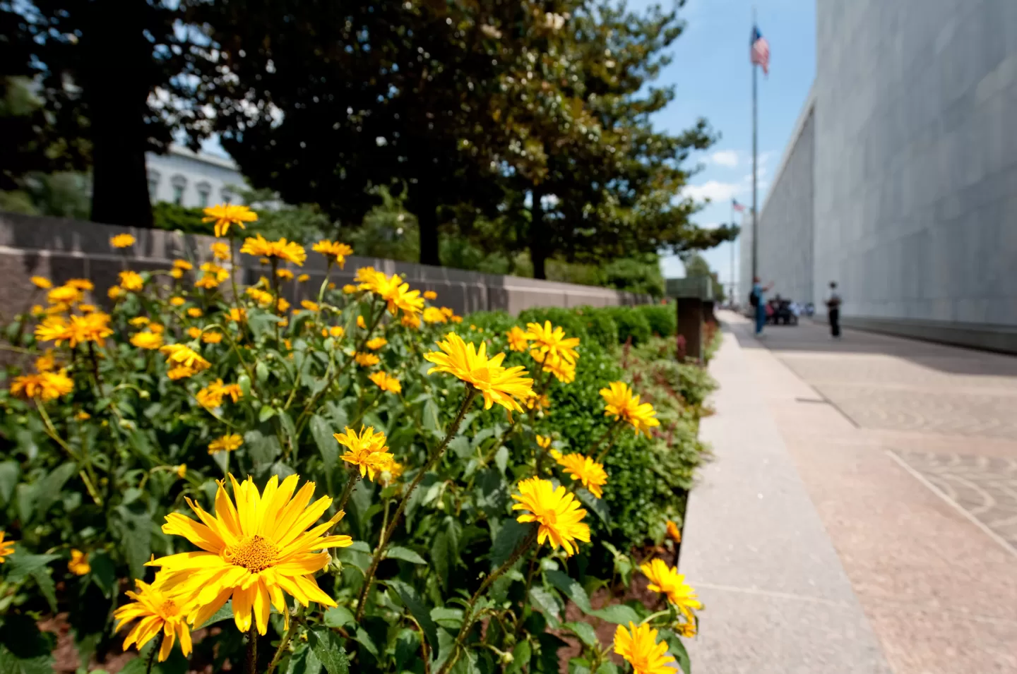 Summer at the Capitol