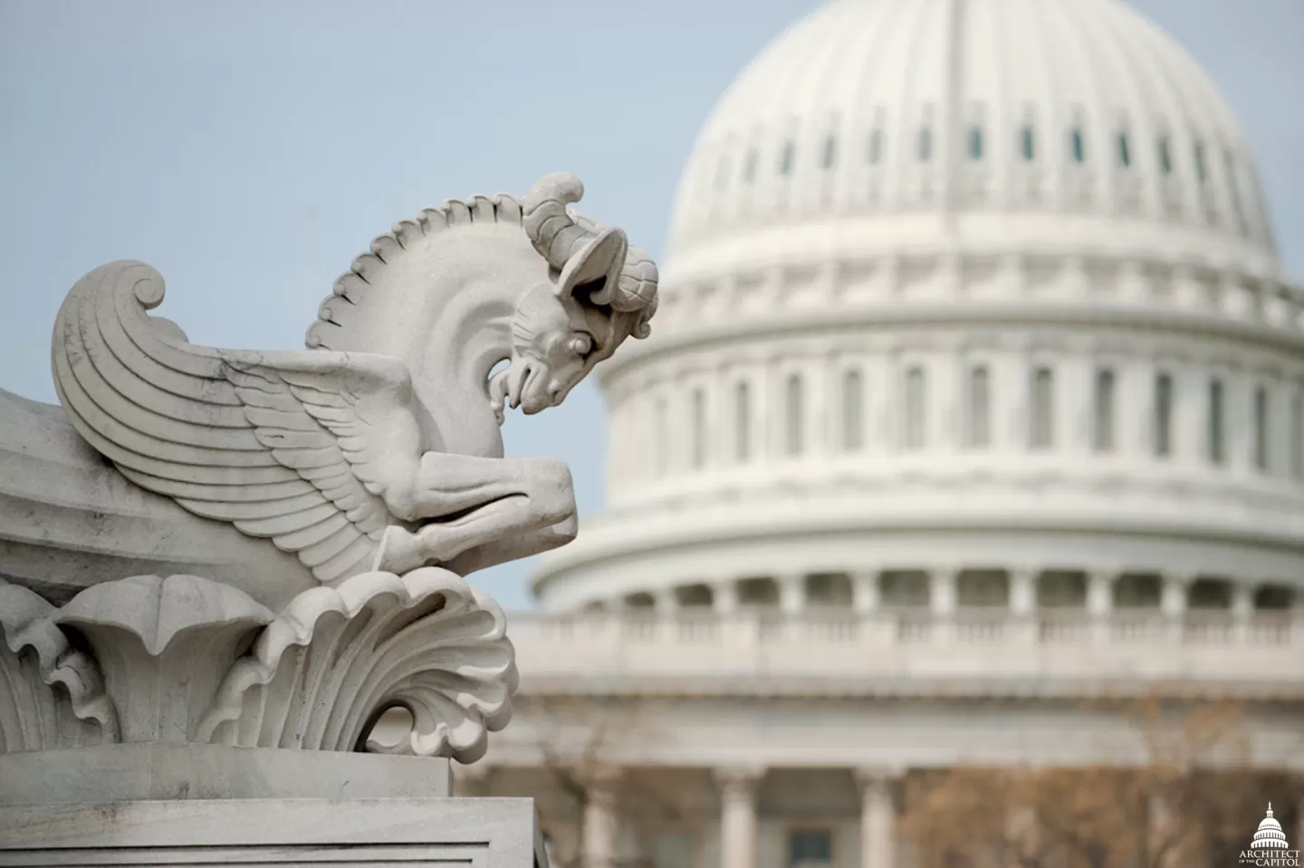 A rhyton at the Rayburn House Office Building with the U.S. Capitol dome in the background.