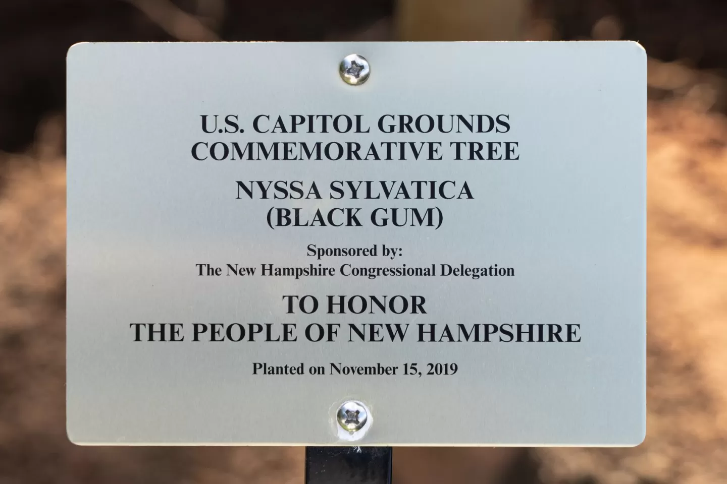 U.S. Capitol Grounds Commemorative Tree  Nyssa sylvatica (Black Gum)  Sponsored by The New Hampshire Congressional Delegation  To Honor The People of New Hampshire  Planted on November 15, 2019