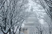 The U.S. Capitol Dome framed by trees in the snow.