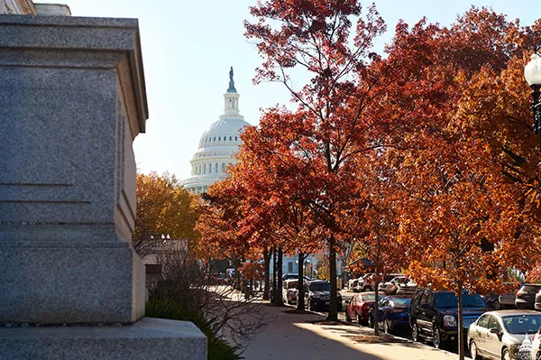 Height of the autumn season on the U.S. Capitol campus.