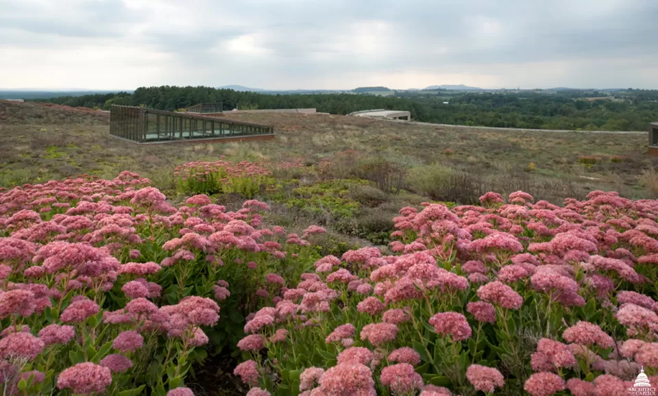 Green Roof at the Packard Campus for Audio Visual Conservation
