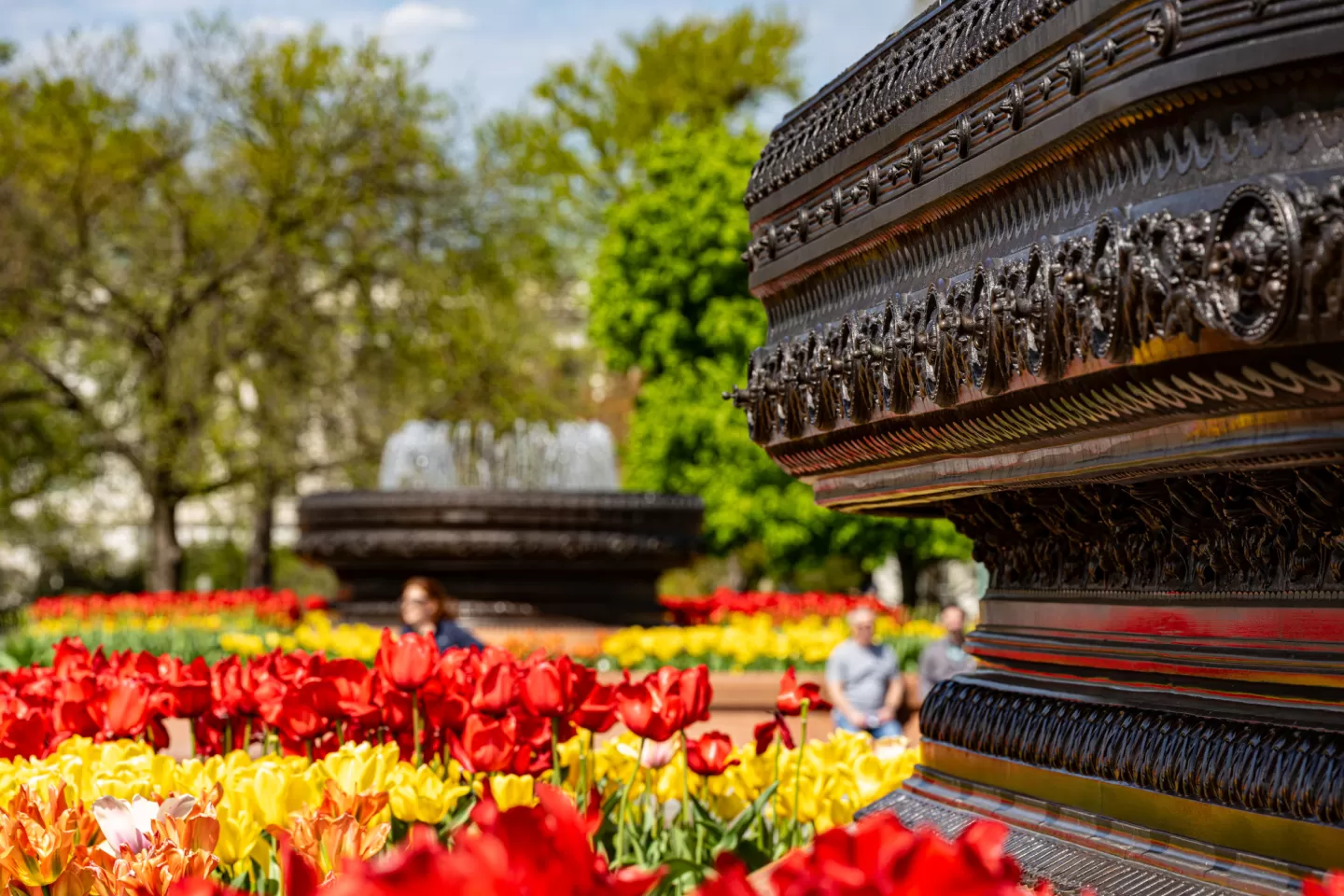 Tulips and bronze fountains.