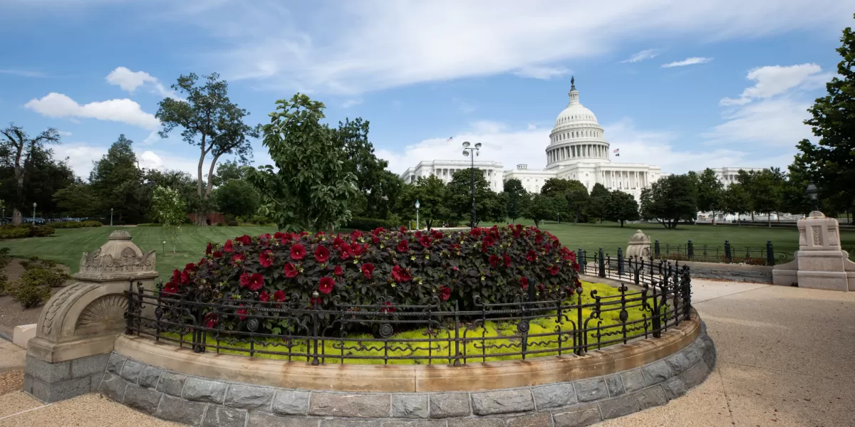 U.S. Capitol Grounds | Architect of the Capitol