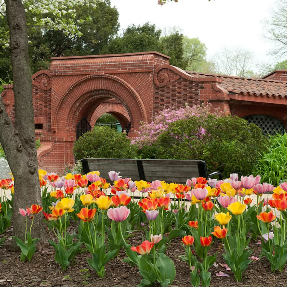Structure made of bricks surrounded by flowers.