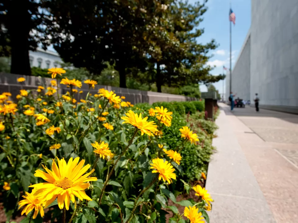 Summer at the Capitol