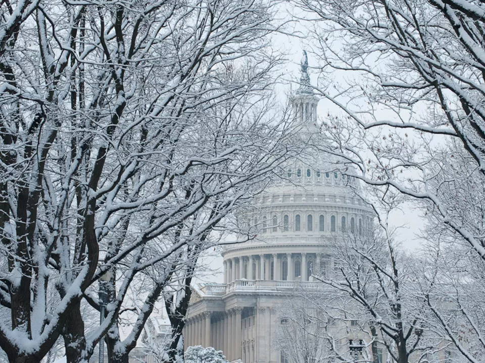 The U.S. Capitol Dome framed by trees in the snow.