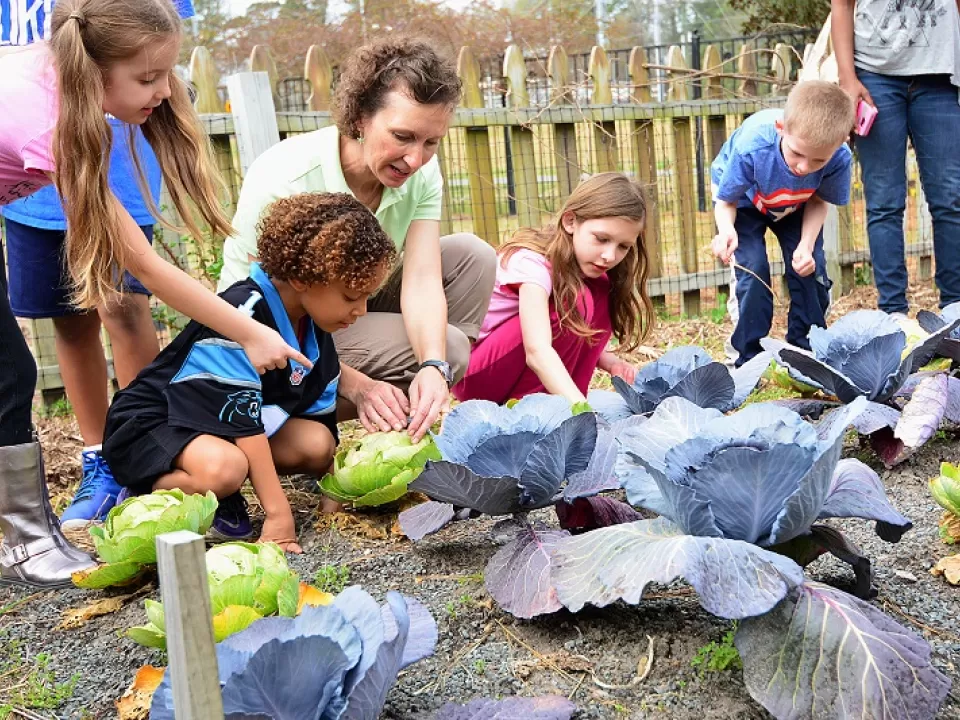 Visitors of all ages engage in urban agriculture and food growing programs around the country. Pictured here: Cape Fear Botanical Garden, North Carolina
