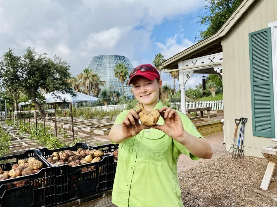 Visitors of all ages engage in urban agriculture and food growing programs around the country. Pictured here: San Antonio Botanical Garden, Texas