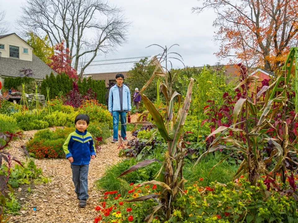Visitors of all ages engage in urban agriculture and food growing programs around the country. Pictured here: Tower Hill Botanic Garden, Massachusetts