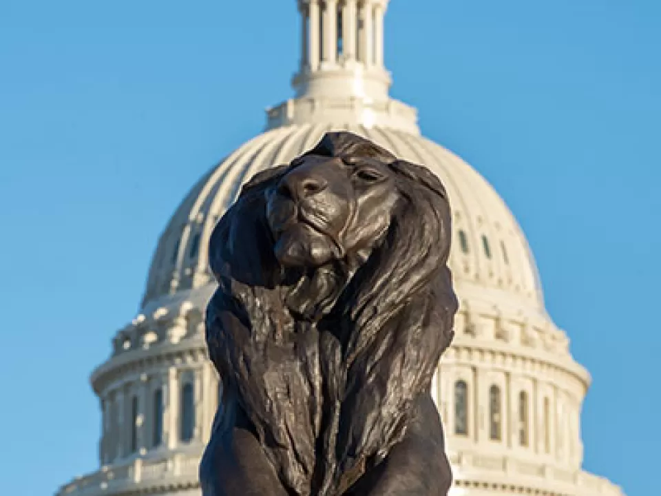 Lion sculpture of the Grant Memorial after restoration in 2017. Capitol Dome appears in the background.