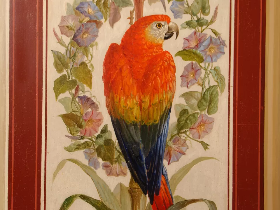 Mural of a parrot.