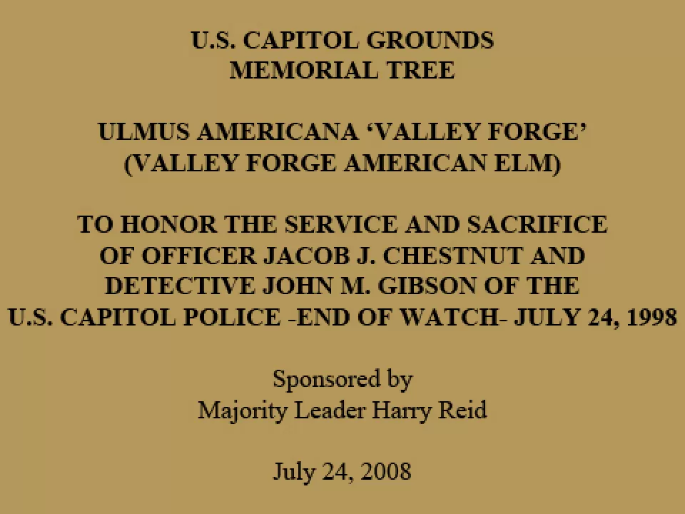 U.S. Capitol Grounds Memorial Tree  Ulmus americana ‘Valley Forge’ (Valley Forge American Elm)  To Honor the Service and Sacrifice of Officer Jacob J. Chestnut and Detective John M. Gibson of the U.S. Capitol Police -End of Watch- July 24, 1998