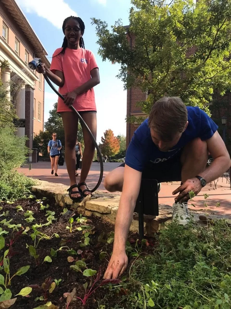 Students from the University of North Carolina care for growing beds as part of North Carolina Botanical Garden’s “Edible Campus UNC” program.